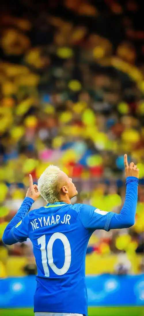 析人士提供 析人士提供